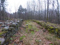 6  Saverne LE WASSERWALD 05 03 2017 30